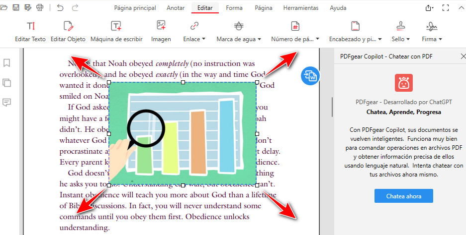 Ajustar la Imagen Insertada