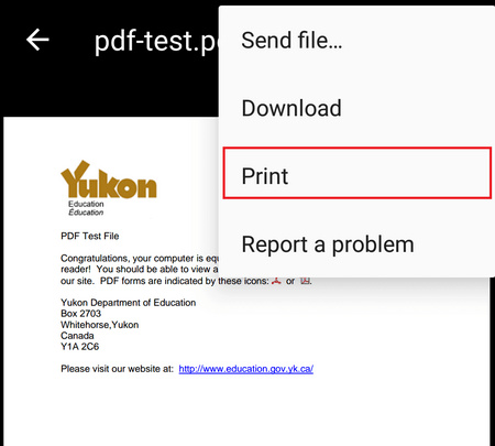 Click the Three Dots Icon and Choose Print