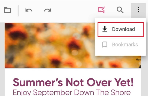 Download and Save the Signed PDF with PDFgear Online Signer
