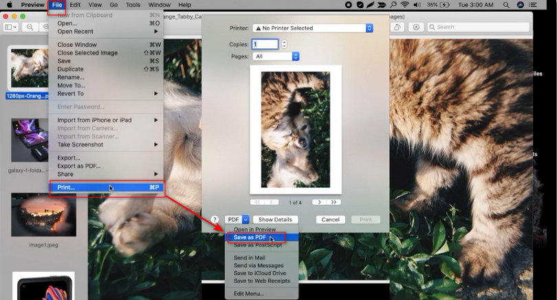 Enregistrer tous les JPEGs en un seul PDF