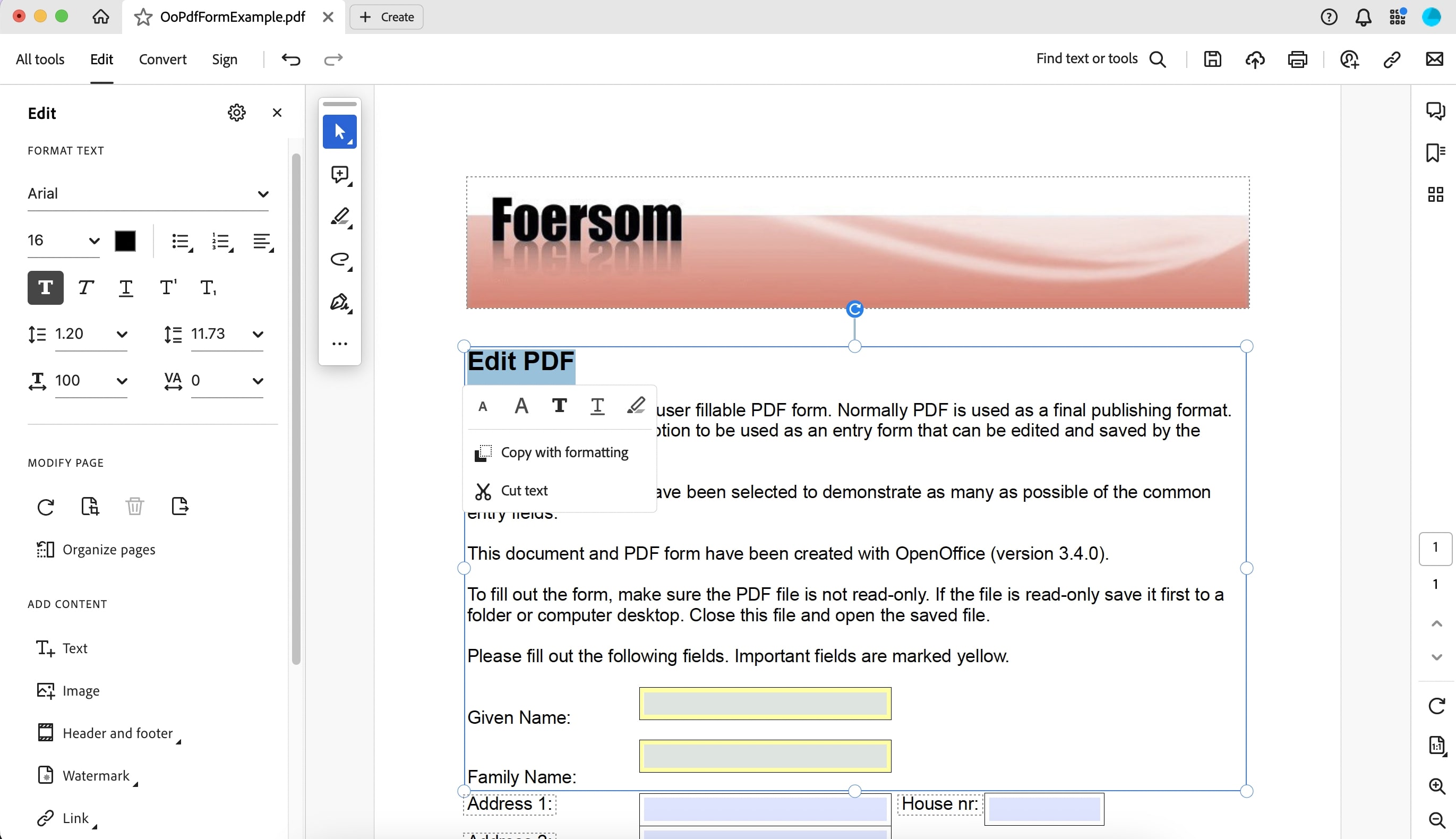 Apporta modifiche al testo selezionato all'interno dell'area modificabile