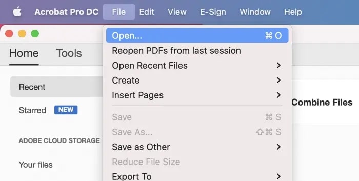 Open PDF in Acrobat Pro