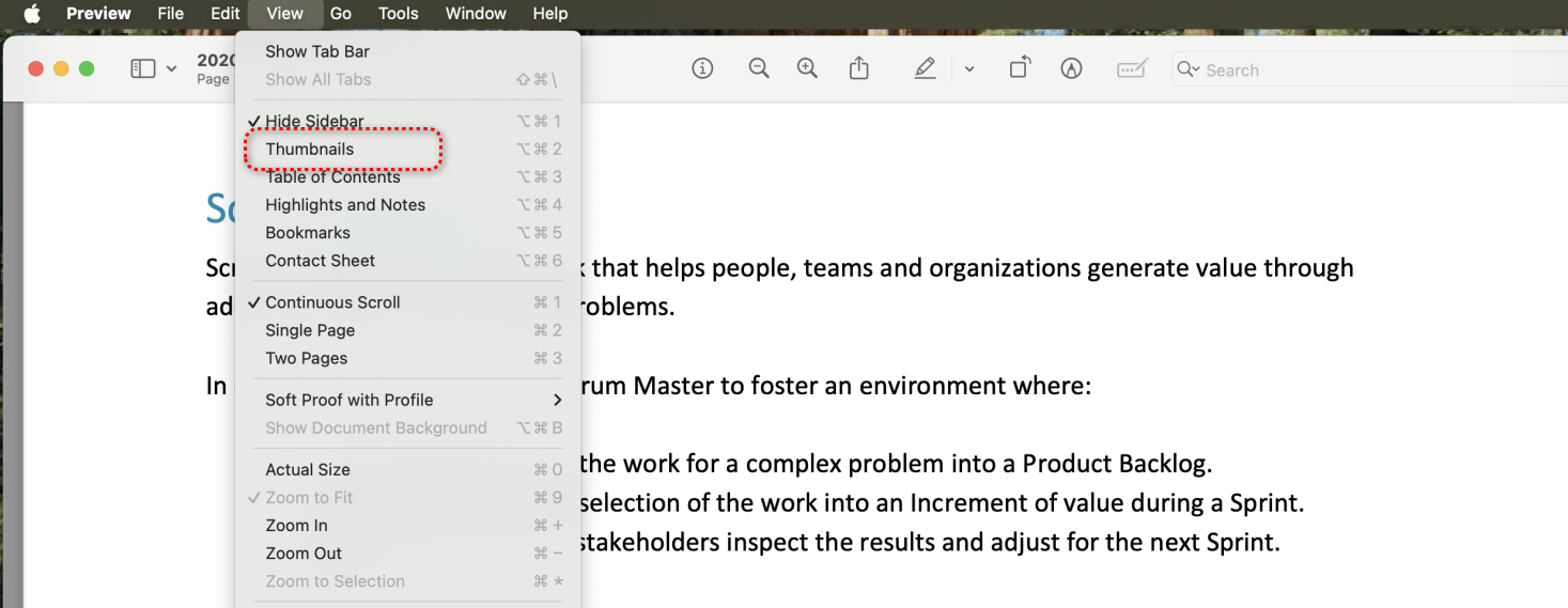 Enable Thumbnail View
