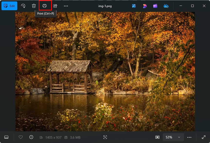 Click on the Printer Icon