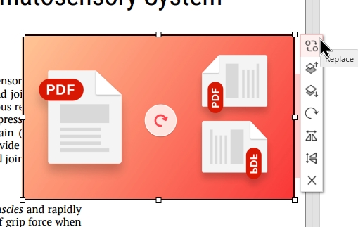 Replace Added Image with Another
