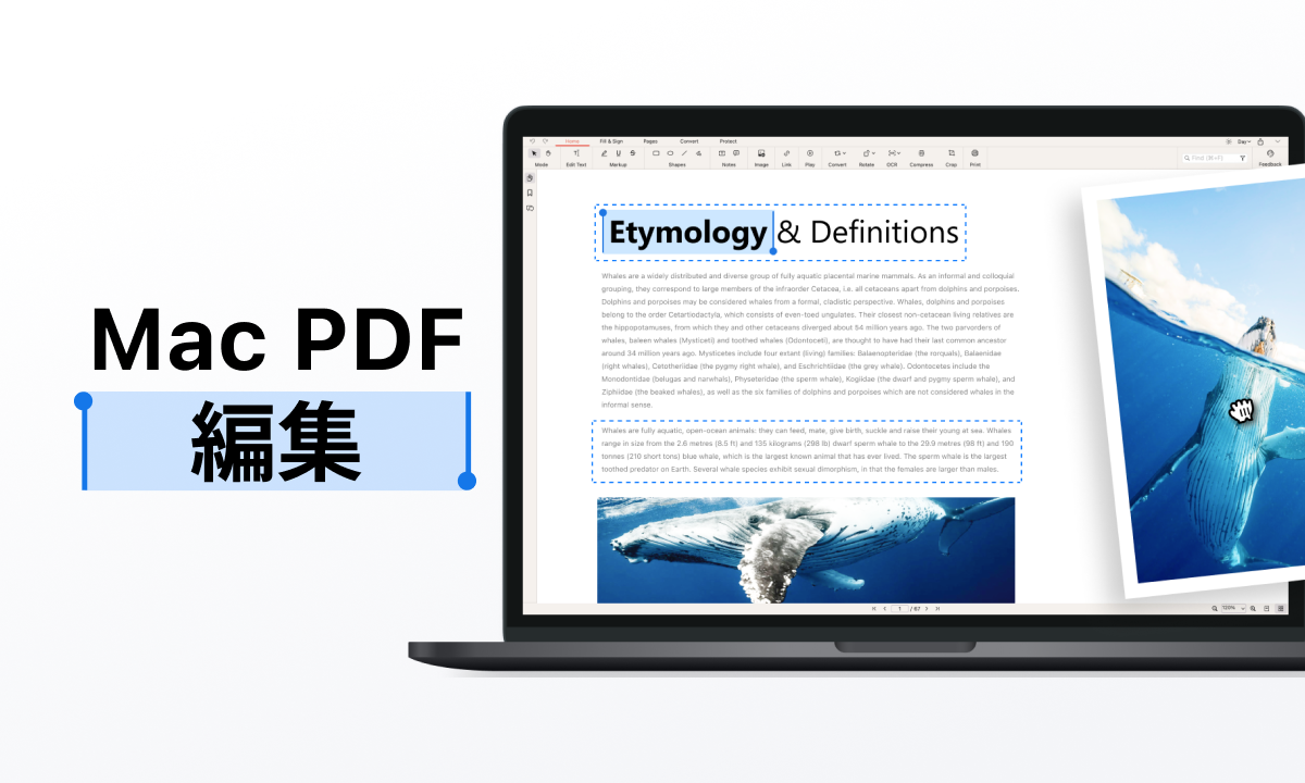 Mac PDF 編集