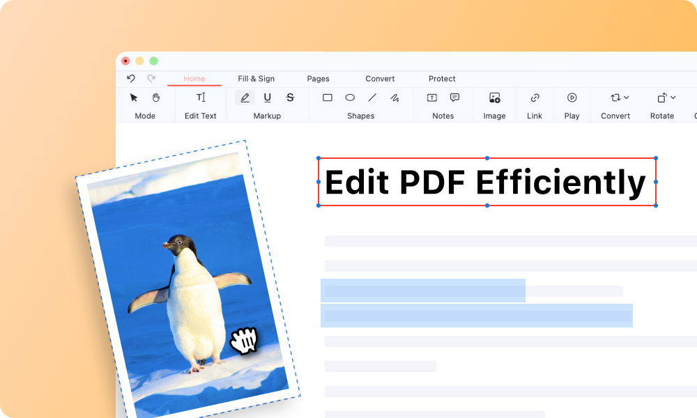 Insert and Edit Objects & Images